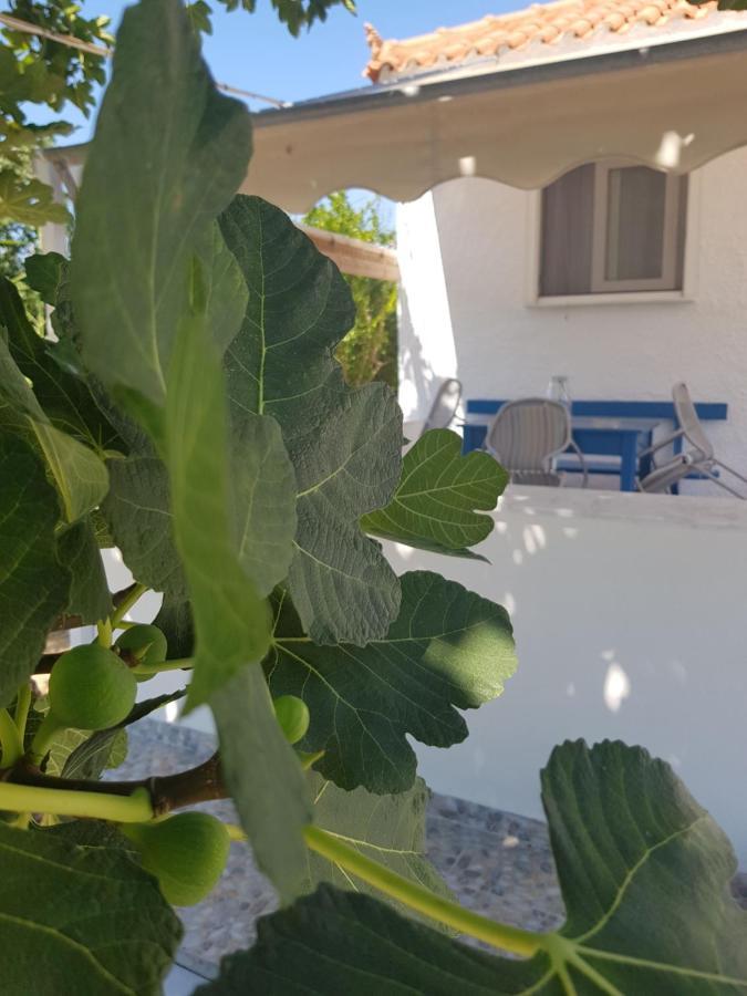 Eleni B&B Limani Kapis Εξωτερικό φωτογραφία