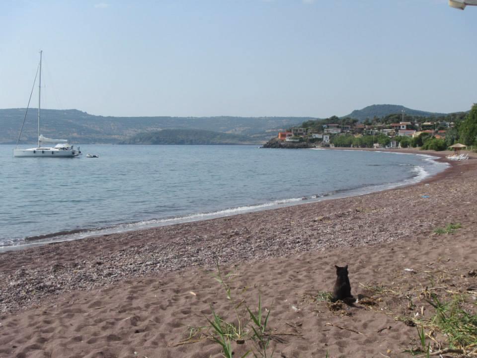 Eleni B&B Limani Kapis Εξωτερικό φωτογραφία